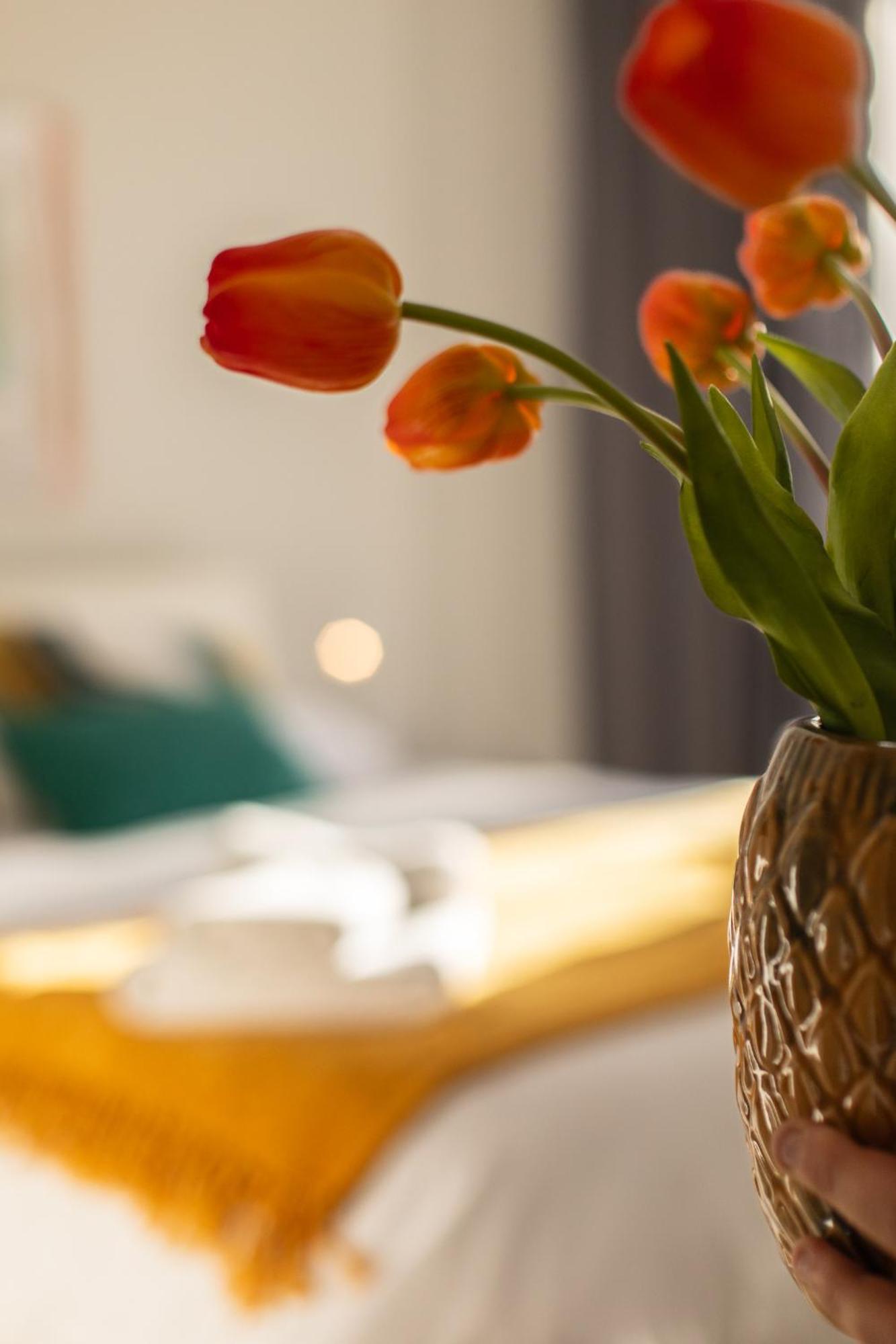 Veigas De Iria - Apartamento Turistico Vut Padrón Εξωτερικό φωτογραφία